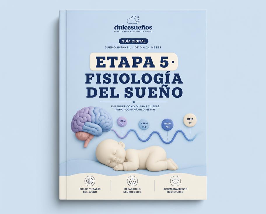 Etapa 5 – Fisiología del sueño
